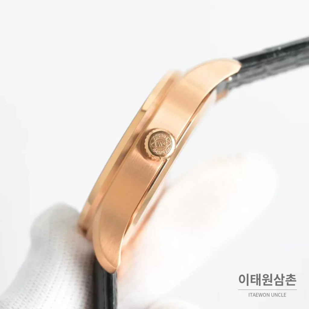 IWC 플라잉 투르비용 스켈레톤 다이얼 오토매틱 43mm