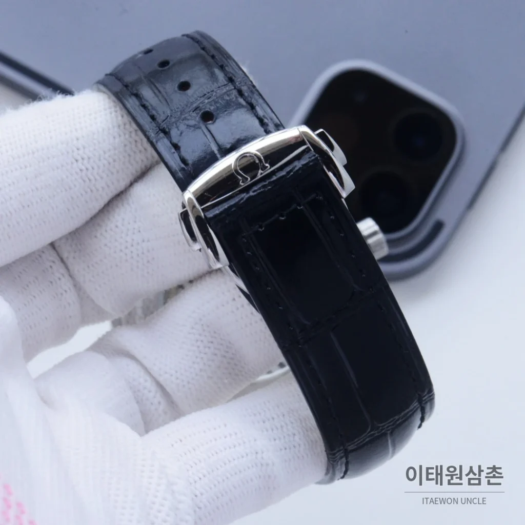 오메가 씨마스터 오토매틱 41mm 아이스블루 다이얼 스틸 브레이슬릿