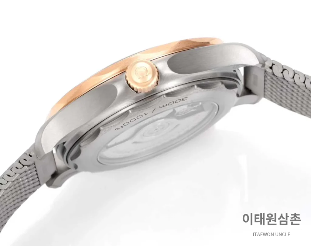 오메가 씨마스터 다이버300M 티타늄베젤 그레이다이얼 야광 오토매틱 42mm 스틸 브레이슬릿 (2)