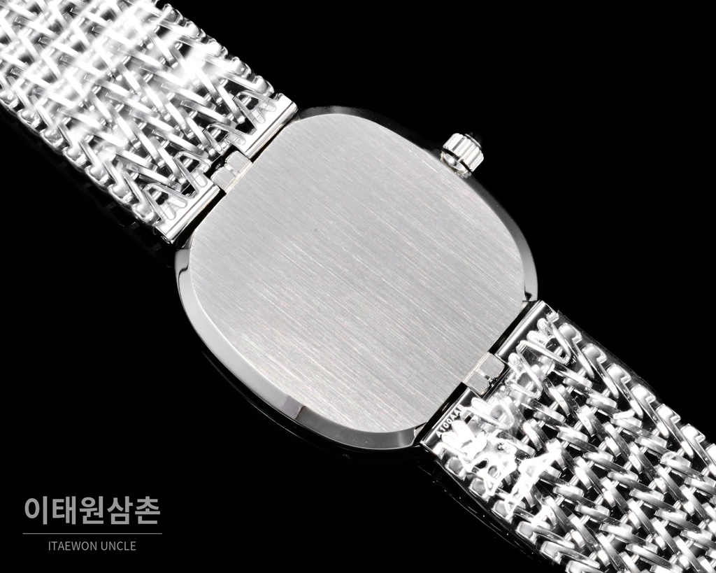 파텍필립 골든 엘립스 실버 톤 베젤 블루다이얼 오토매틱 39.5mm