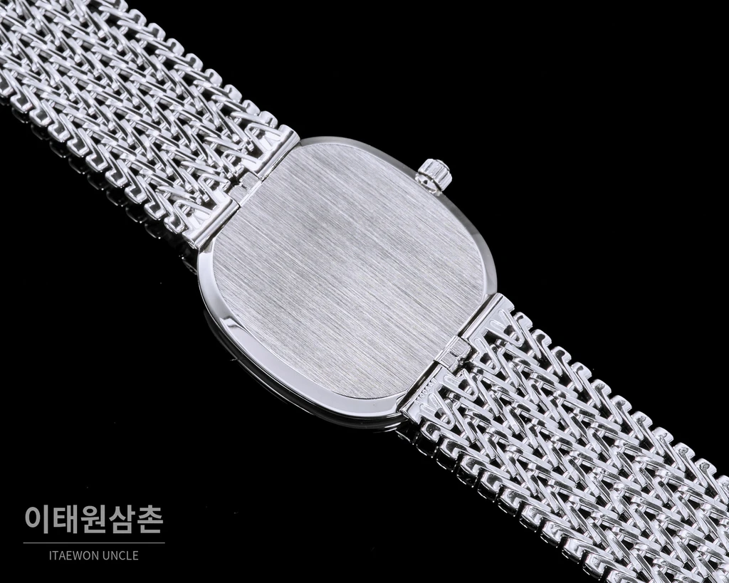 파텍필립 골든 엘립스 실버 톤 베젤 그린다이얼 오토매틱 39.5mm