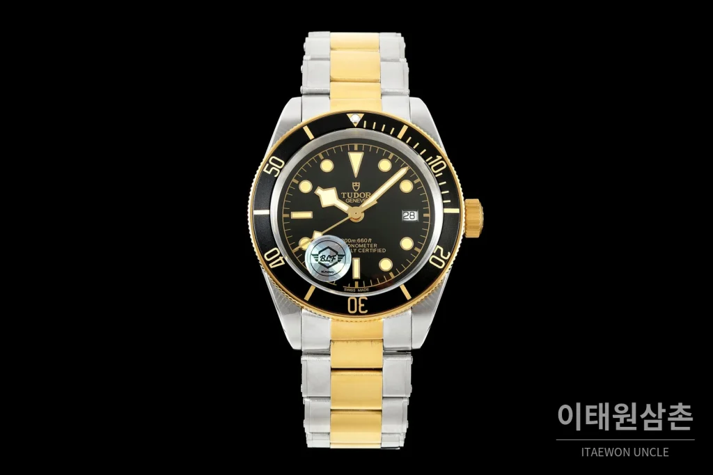 튜더 블랙베이 41 모노크롬 블랙다이얼 스틸 오토매틱 41mm M7941A1A0NU 투톤 브레이슬릿 골드 베젤