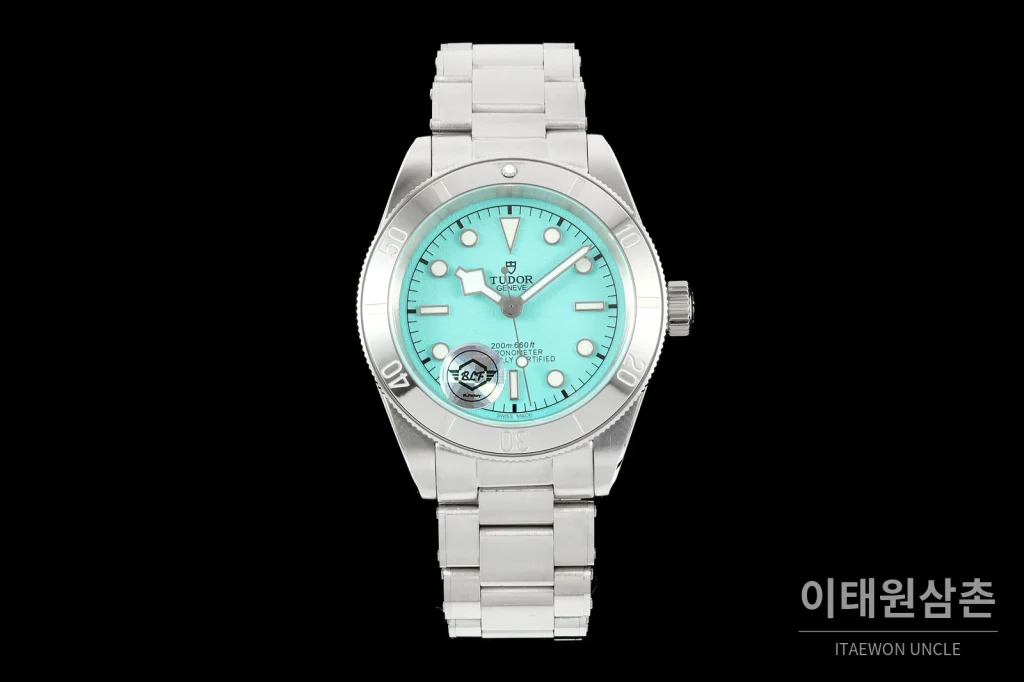 튜더 블랙베이 41 모노크롬 스카이민트다이얼 스틸 오토매틱 41mm M7941A1A0NU
