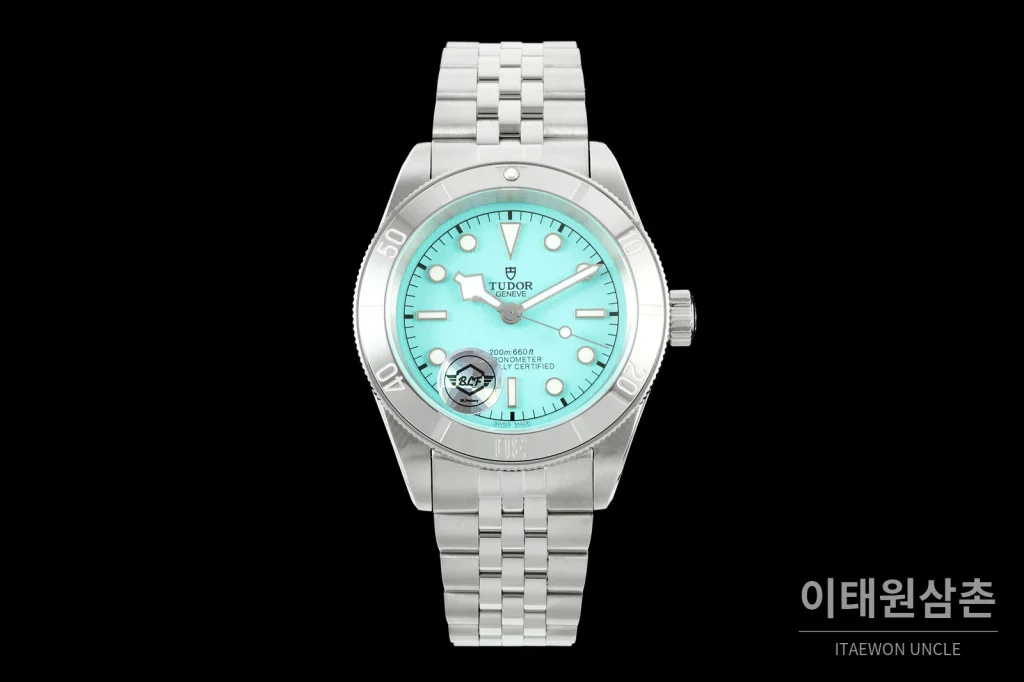 튜더 블랙베이 41 모노크롬 스카이민트다이얼 스틸 오토매틱 41mm M7941A1A0NU (2)