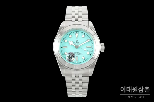튜더 블랙베이 41 모노크롬 스카이민트다이얼 스틸 오토매틱 41mm M7941A1A0NU (2)