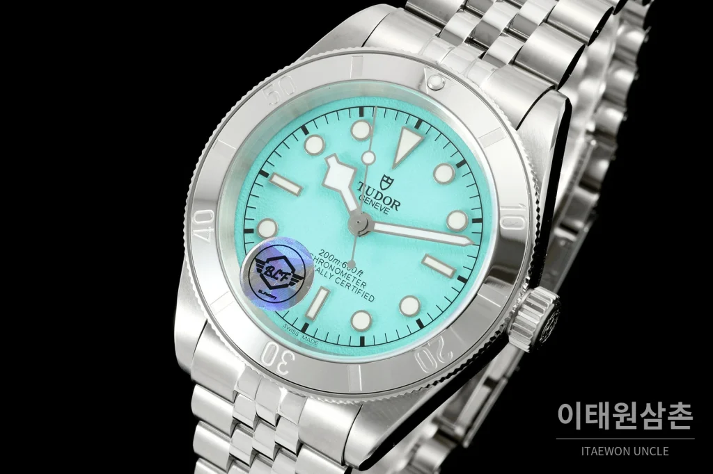 튜더 블랙베이 41 모노크롬 스카이민트다이얼 스틸 오토매틱 41mm M7941A1A0NU (2)