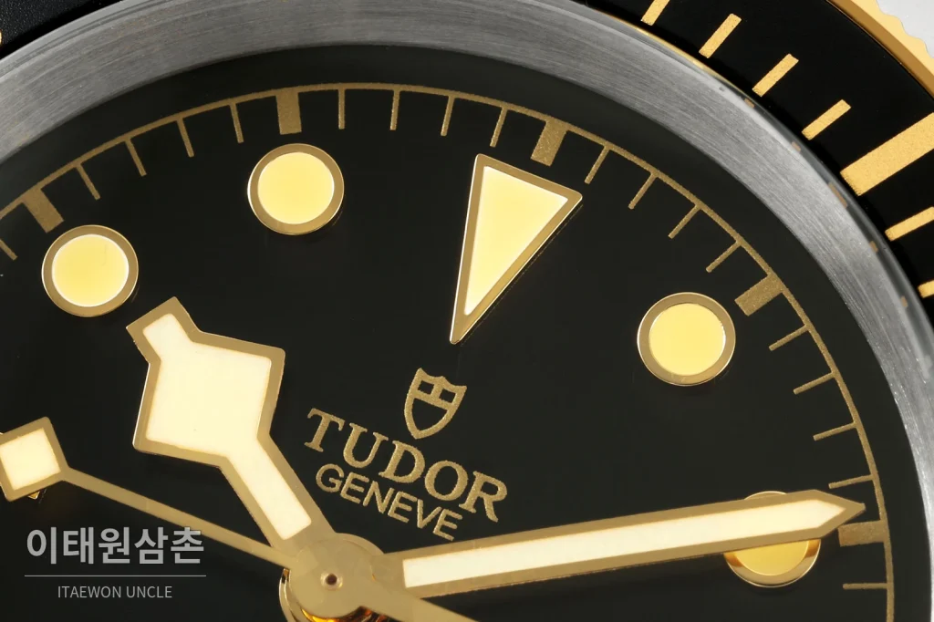 튜더 블랙베이 41 모노크롬 블랙다이얼 스틸 오토매틱 41mm M7941A1A0NU 투톤 브레이슬릿 골드 베젤