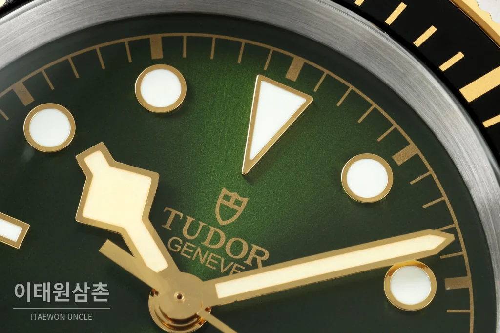 튜더 블랙베이 41 모노크롬 그린다이얼 스틸 오토매틱 41mm
