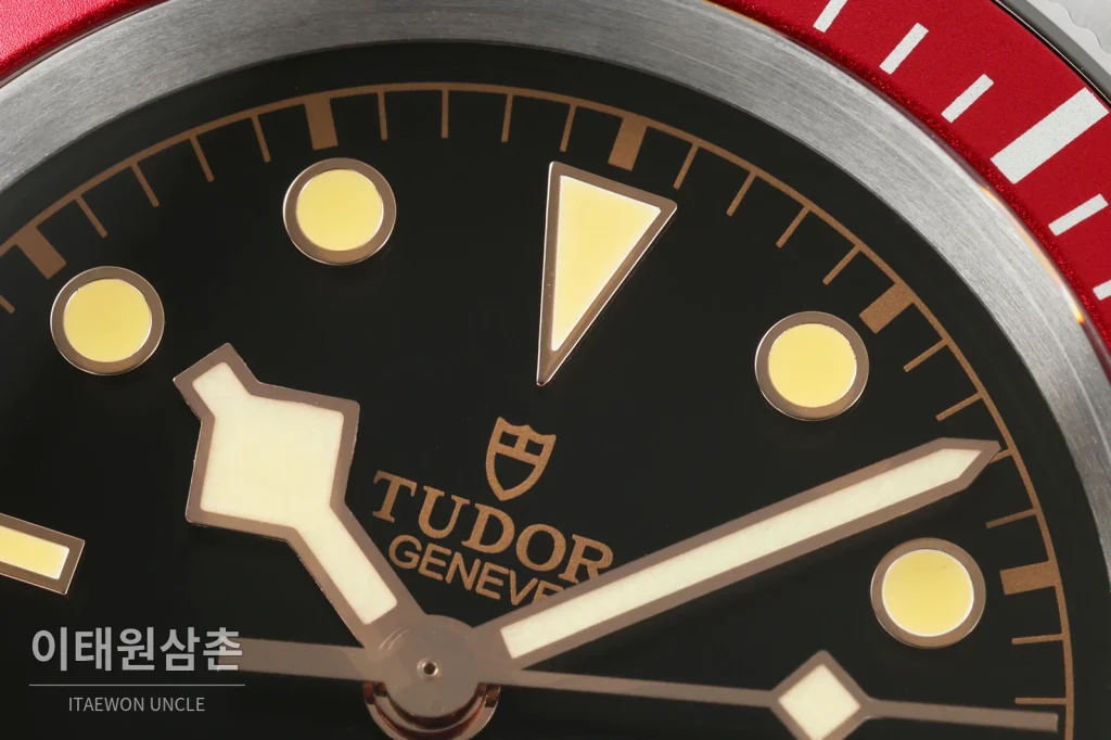튜더 블랙베이 41 모노크롬 블랙다이얼 스틸 오토매틱 41mm M7941A1A0NU 스틸 브레이슬릿 레드 베젤 (2)