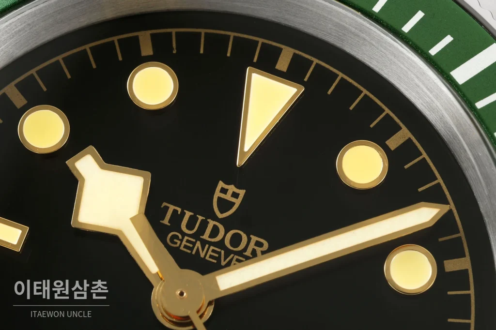 튜더 블랙베이 41 모노크롬 블랙다이얼 스틸 오토매틱 41mm M7941A1A0NU 스틸 브레이슬릿 그린 베젤