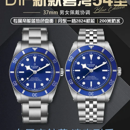 튜더 비원 54 오토매틱 37mm