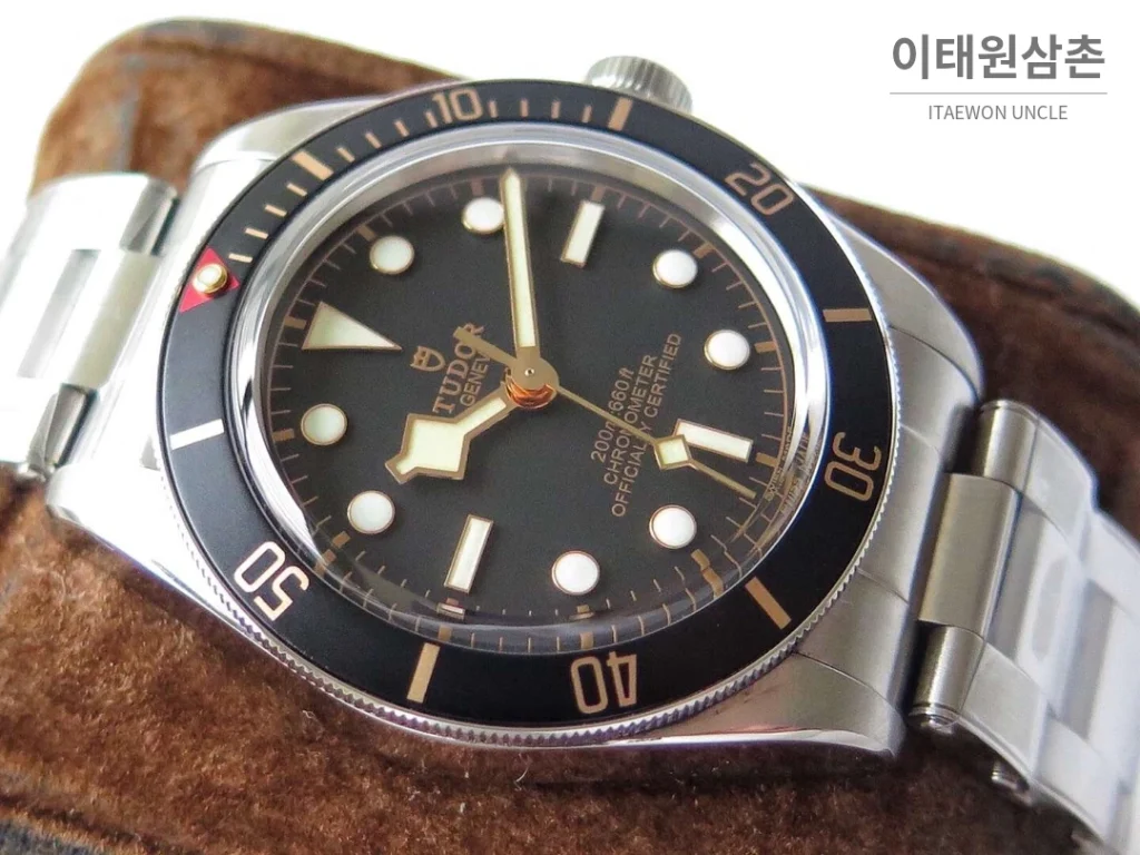 튜더 블랙베이 오토매틱 39mm