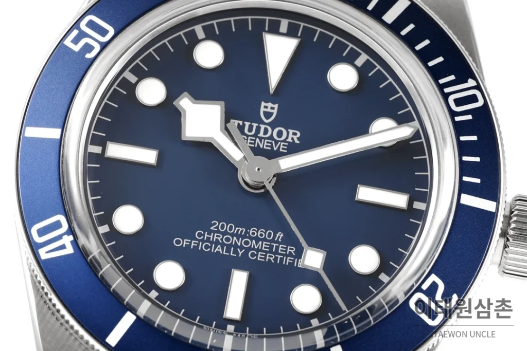 튜더 블랙 베이 오토매틱 39mm