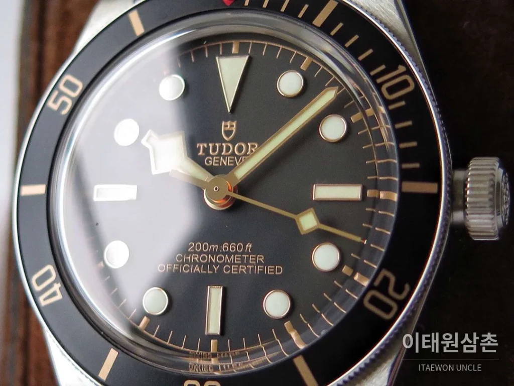 튜더 블랙베이 오토매틱 39mm