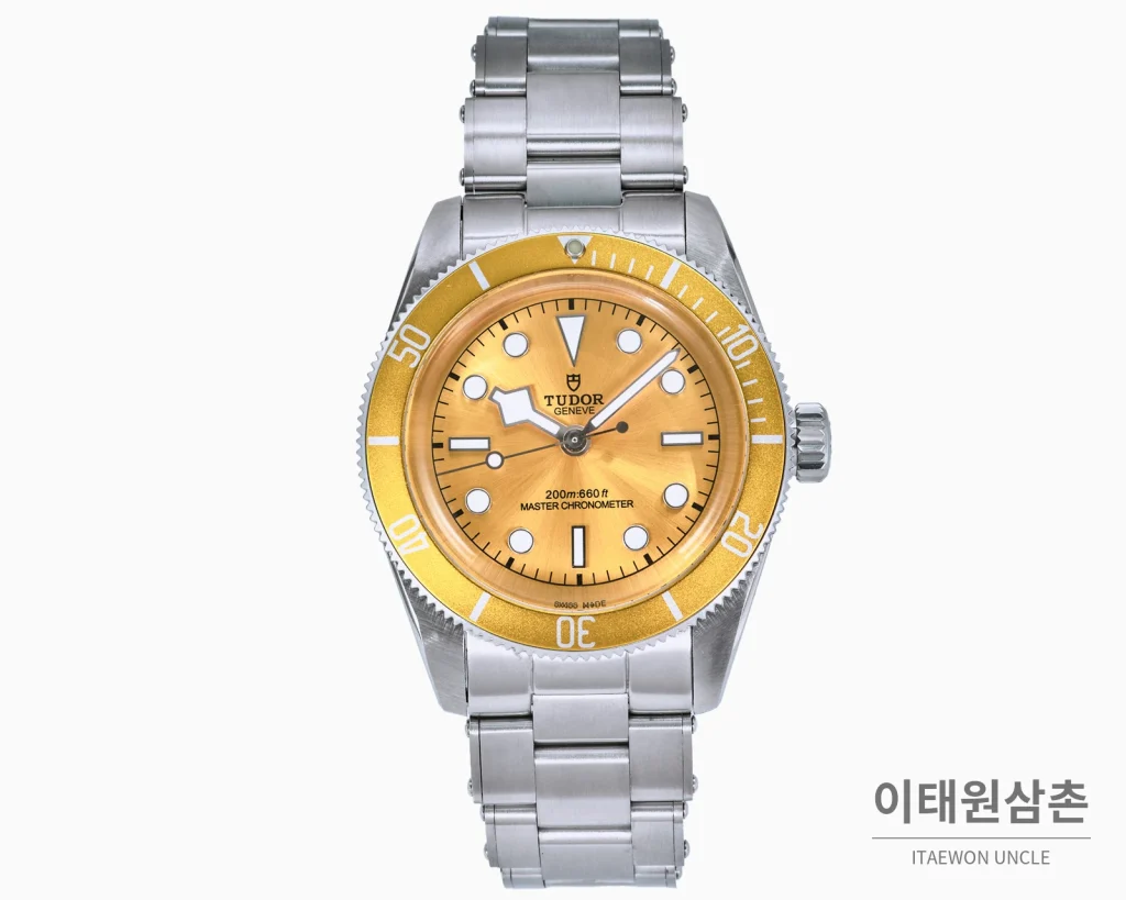 튜더 블랙 베이 오토매틱 41mm 샴페인 다이얼
