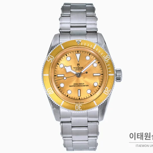 튜더 블랙 베이 오토매틱 41mm 샴페인 다이얼