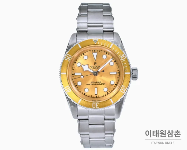 튜더 블랙 베이 오토매틱 41mm 샴페인 다이얼