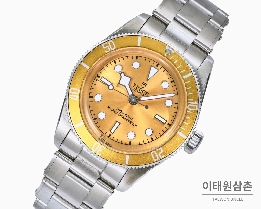 튜더 블랙 베이 오토매틱 41mm 샴페인 다이얼