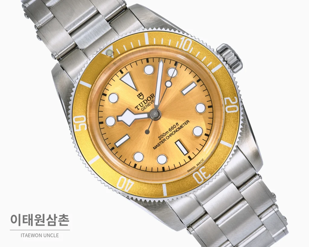 튜더 블랙 베이 오토매틱 41mm 샴페인 다이얼