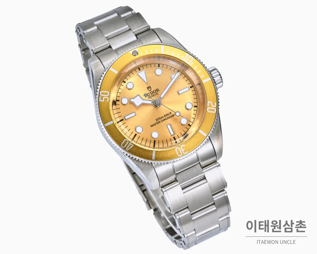 튜더 블랙 베이 오토매틱 41mm 샴페인 다이얼