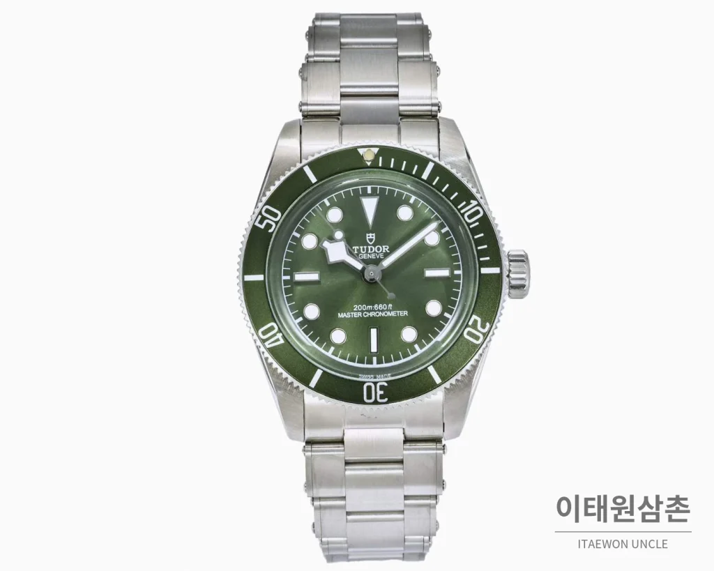 튜더 블랙베이 모노크롬 스틸 블랙다이얼 오토매틱 41mm 스틸 브레이슬릿 그린 베젤