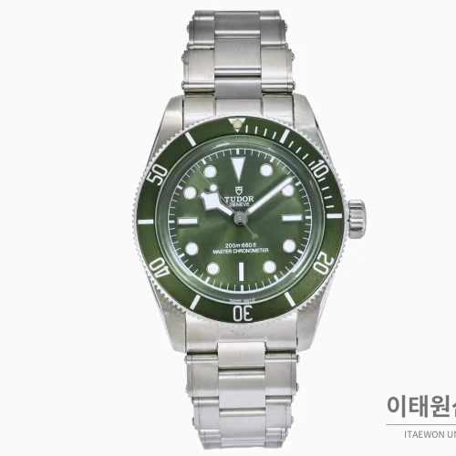 튜더 블랙베이 모노크롬 스틸 블랙다이얼 오토매틱 41mm 스틸 브레이슬릿 그린 베젤