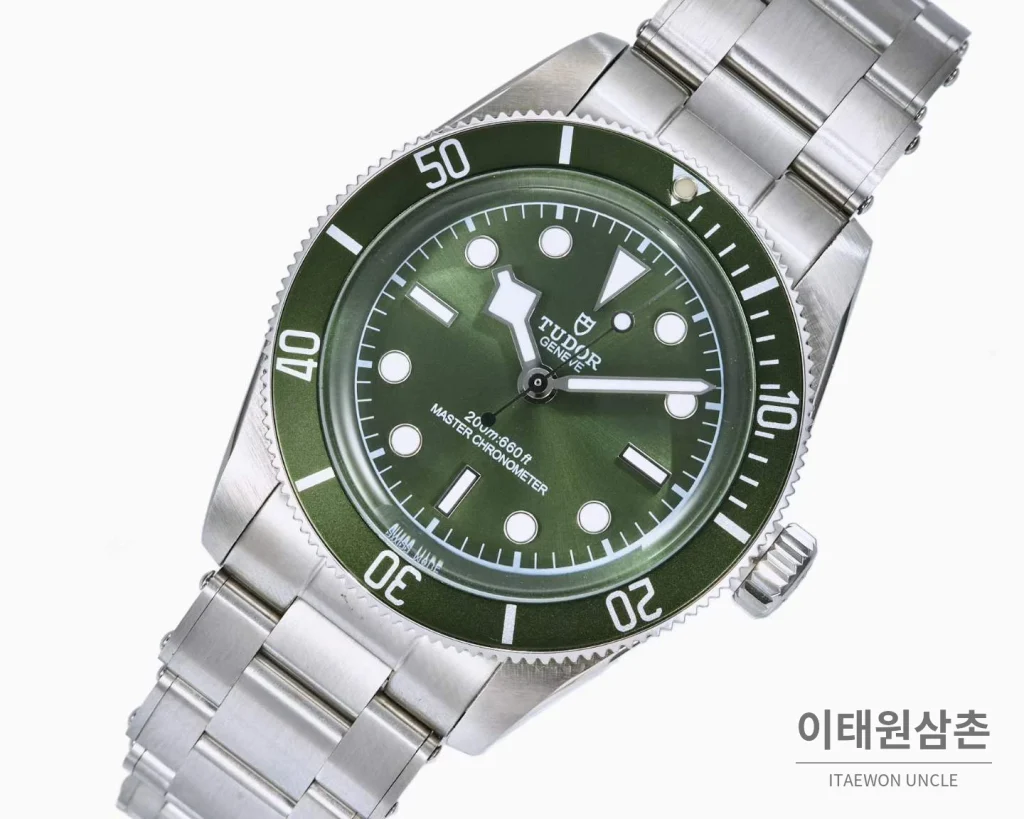 튜더 블랙베이 모노크롬 스틸 블랙다이얼 오토매틱 41mm 스틸 브레이슬릿 그린 베젤