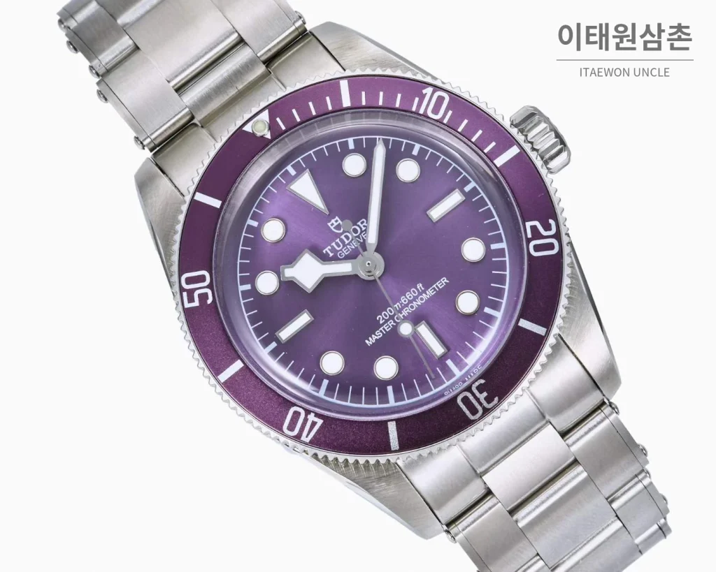 튜더 블랙베이 모노크롬 스틸 블랙다이얼 오토매틱 41mm 스틸 브레이슬릿 퍼플 베젤