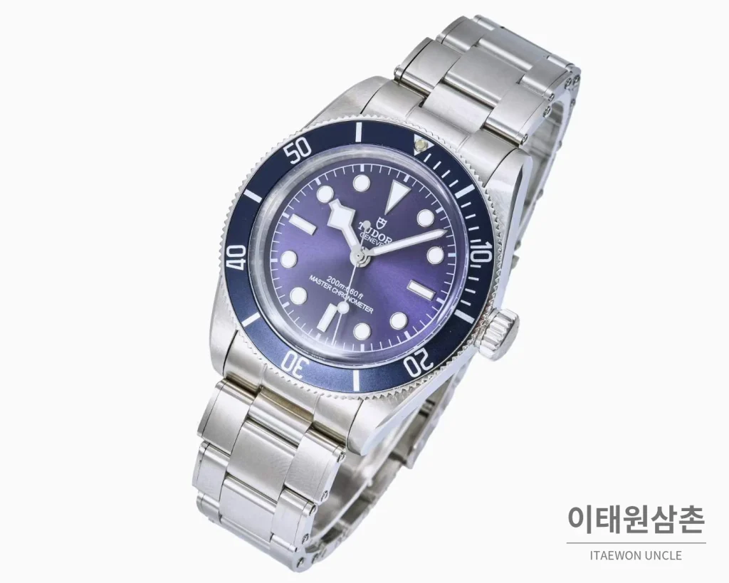 튜더 블랙베이 모노크롬 스틸 블랙다이얼 오토매틱 41mm 스틸 브레이슬릿 네이비 베젤
