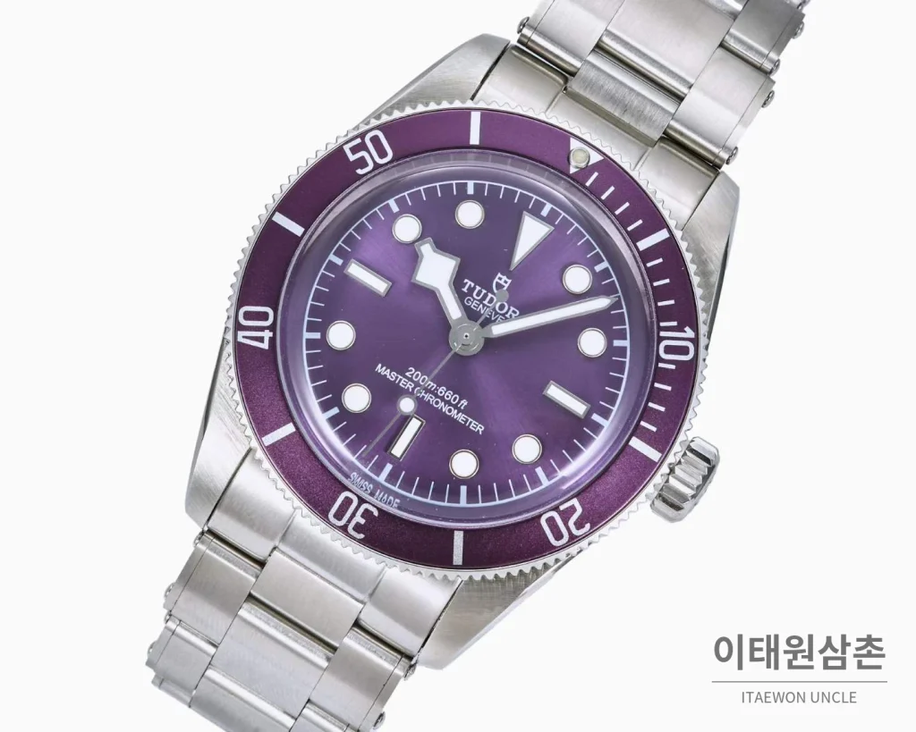 튜더 블랙베이 모노크롬 스틸 블랙다이얼 오토매틱 41mm 스틸 브레이슬릿 퍼플 베젤