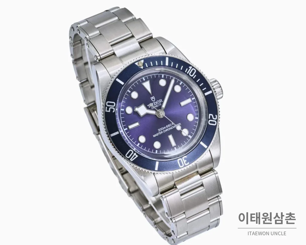 튜더 블랙베이 모노크롬 스틸 블랙다이얼 오토매틱 41mm 스틸 브레이슬릿 네이비 베젤