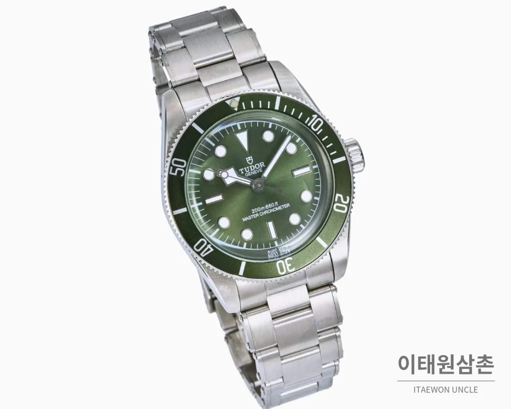 튜더 블랙베이 모노크롬 스틸 블랙다이얼 오토매틱 41mm 스틸 브레이슬릿 그린 베젤