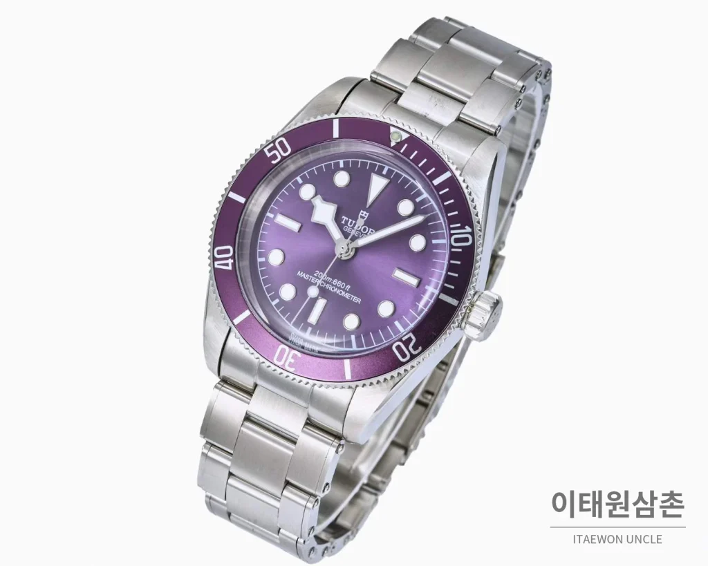 튜더 블랙베이 모노크롬 스틸 블랙다이얼 오토매틱 41mm 스틸 브레이슬릿 퍼플 베젤