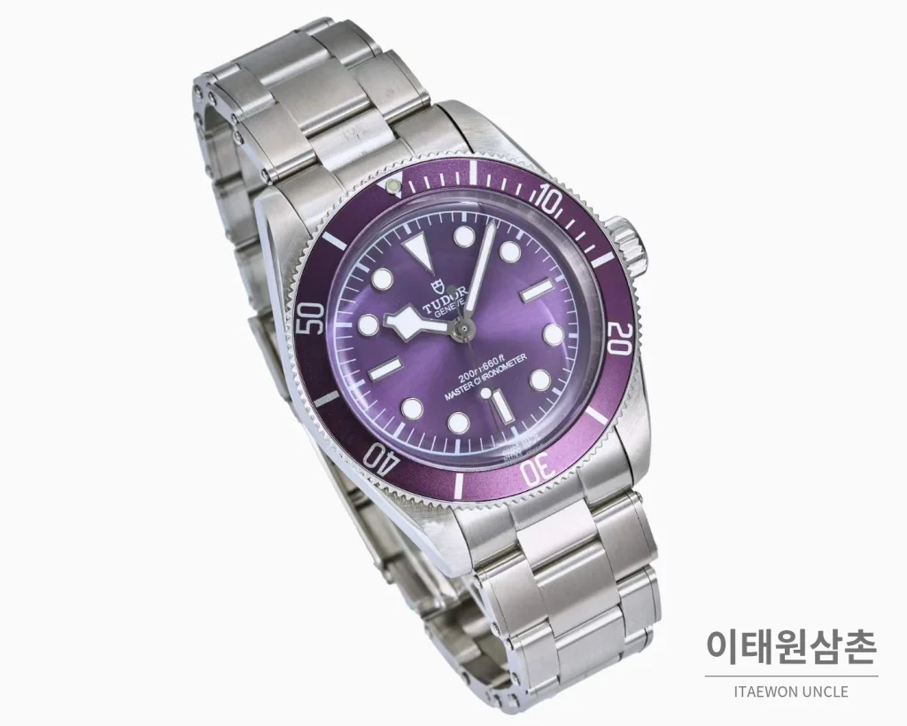 튜더 블랙베이 모노크롬 스틸 블랙다이얼 오토매틱 41mm 스틸 브레이슬릿 퍼플 베젤