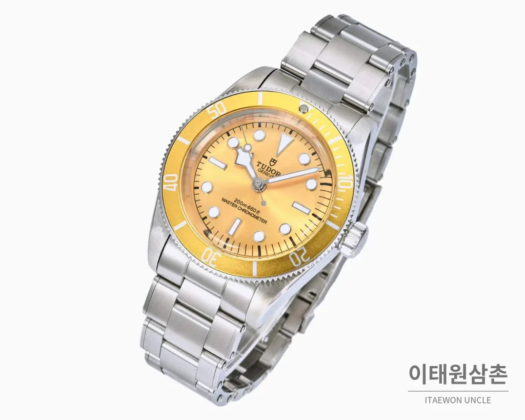 튜더 블랙베이 모노크롬 스틸 블랙다이얼 오토매틱 41mm 스틸 브레이슬릿 골드 베젤