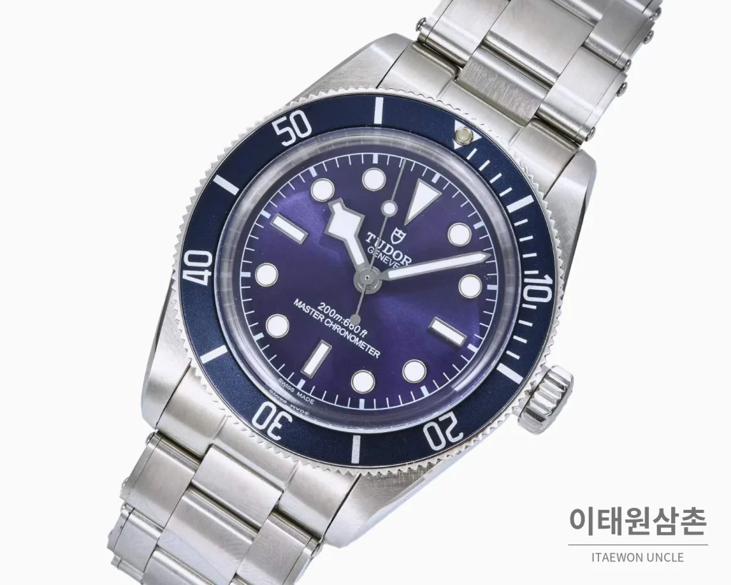 튜더 블랙베이 모노크롬 스틸 블랙다이얼 오토매틱 41mm 스틸 브레이슬릿 네이비 베젤